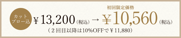 白髪染め対応 お茶カラートリートメント®