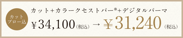 カラークセストパー® スペシャルセット